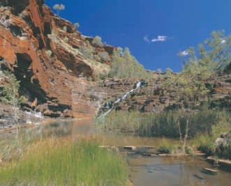 #australien #westaustralien #blueskytravel #reisespezialist #karijininationalpark