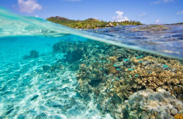 Pacific Resort Aitutaki Cook Islands Unterwasser